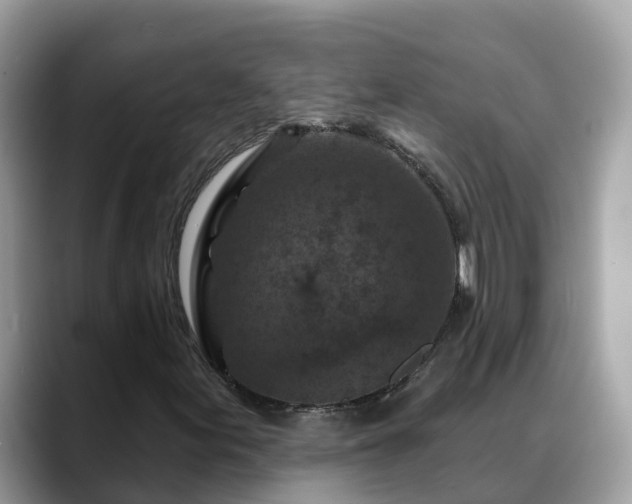 X0000088691155200706071514