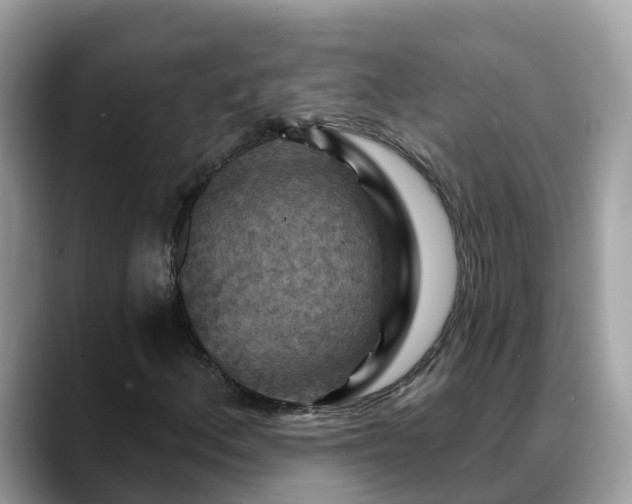 X0000088691156200706071514
