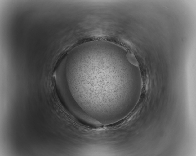 X0000088691157200706071514