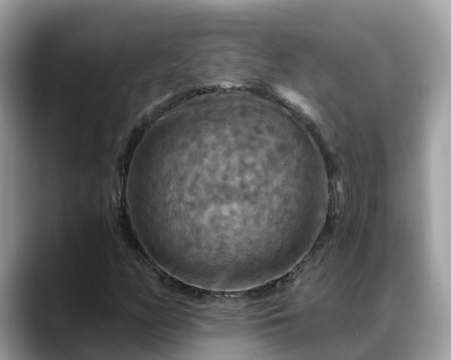 X0000088691158200706071514