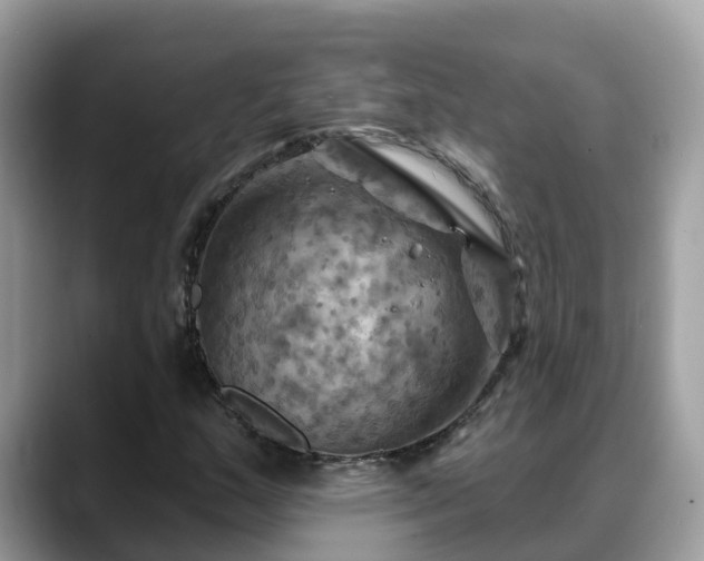 X0000088691159200706071514