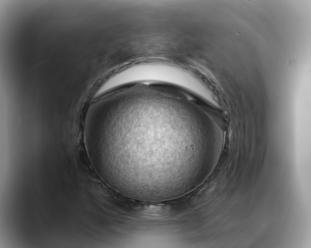 X0000088691160200706071514