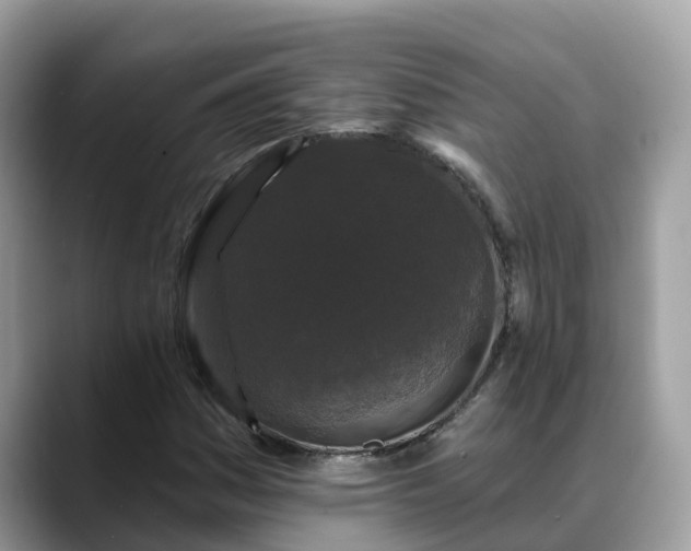 X0000088691161200706071514