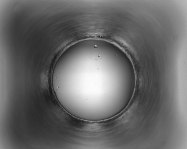 X0000088691162200706071514