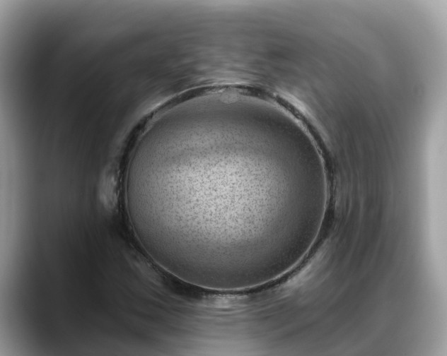 X0000088691163200706071514