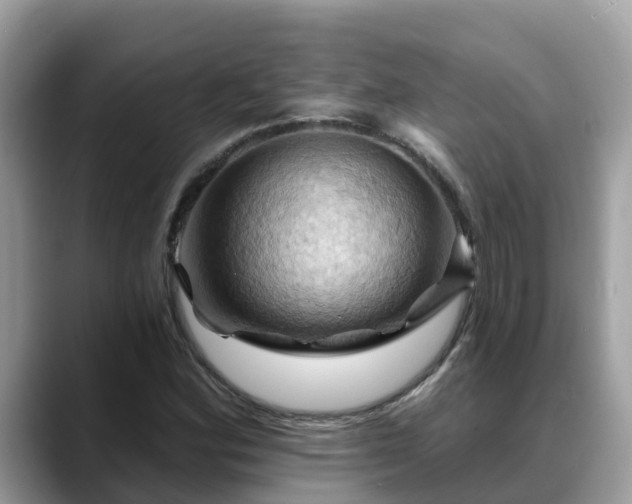 X0000088691164200706071514