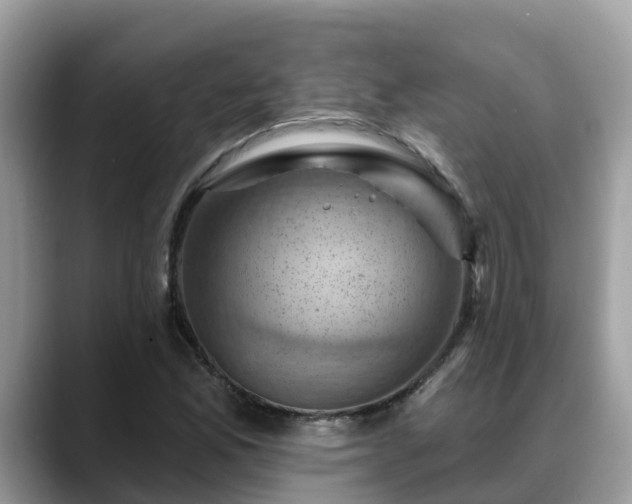 X0000088691165200706071514