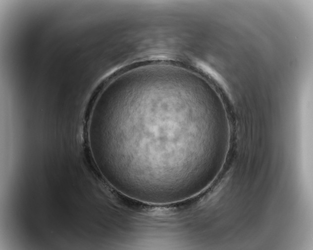 X0000088691166200706071514