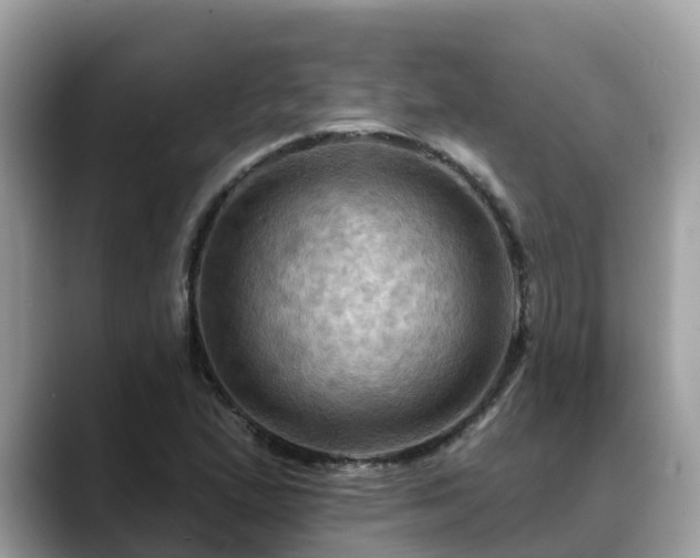 X0000088691167200706071514