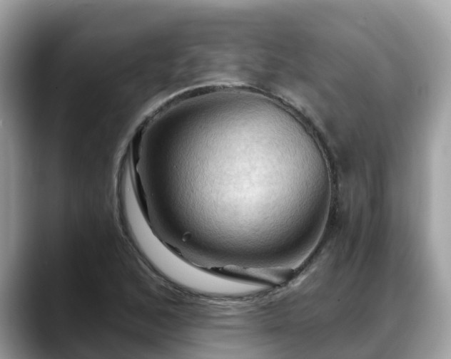 X0000088691168200706071514