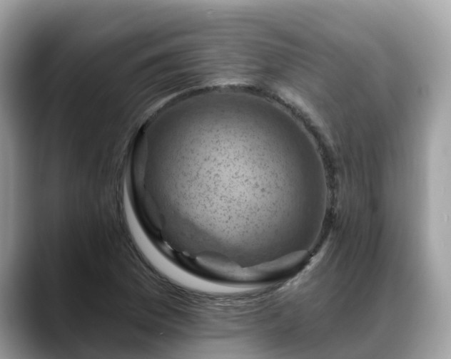 X0000088691169200706071514