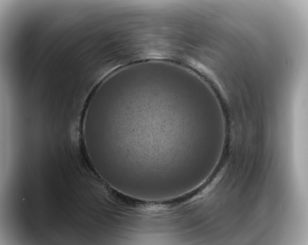 X0000088691170200706071514