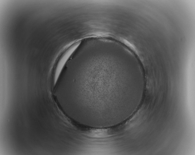 X0000088691171200706071514