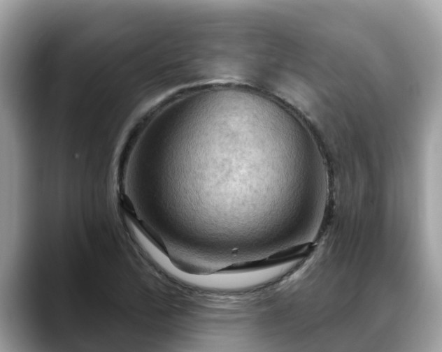 X0000088691172200706071514
