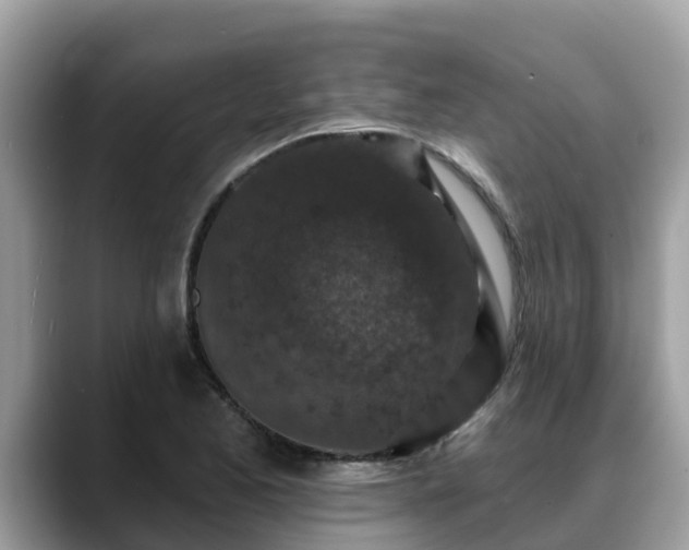 X0000088691173200706071514