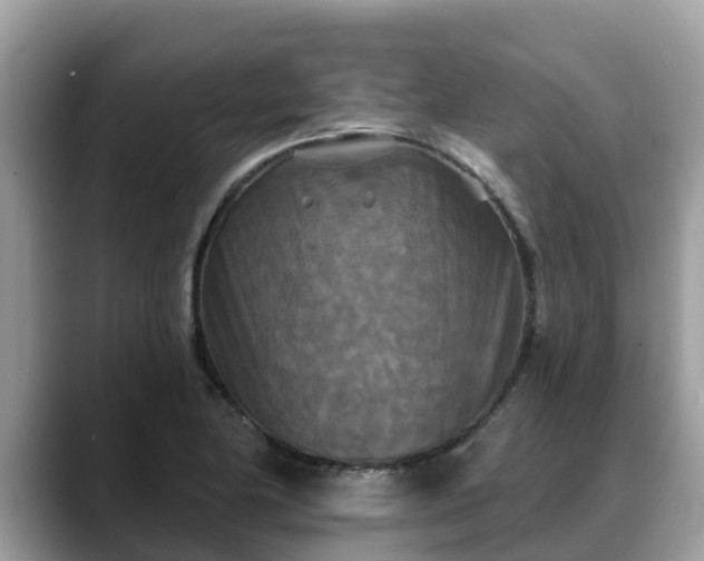 X0000088691174200706071514