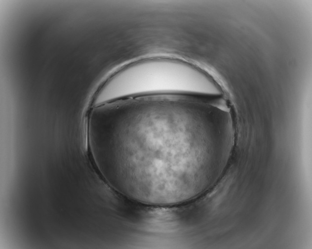 X0000088691175200706071514