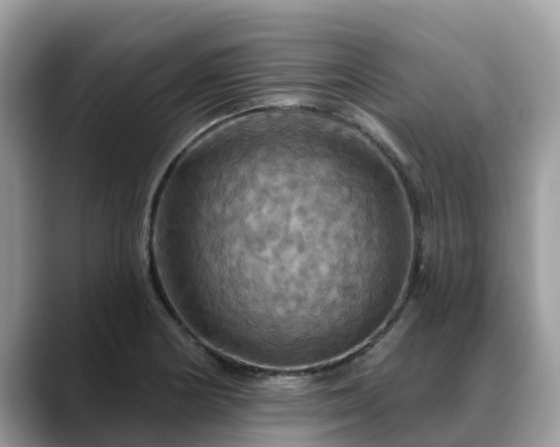 X0000088691178200706071514