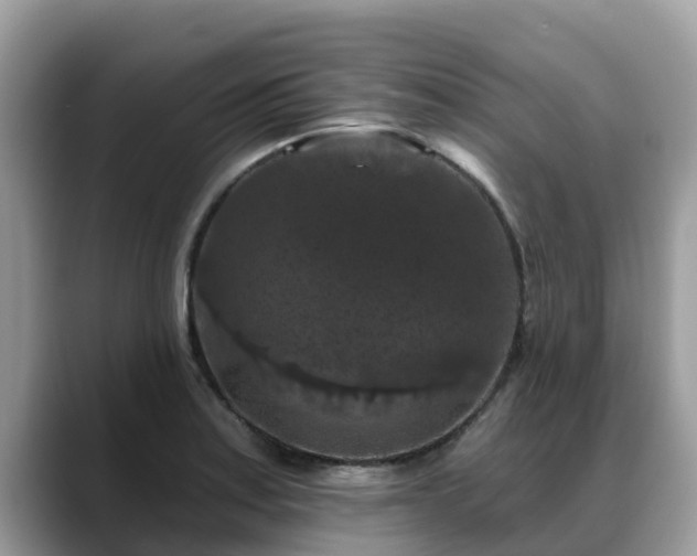 X0000088691179200706071514