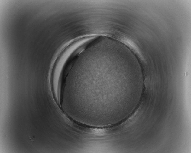 X0000088691180200706071514