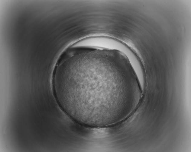 X0000088691181200706071513