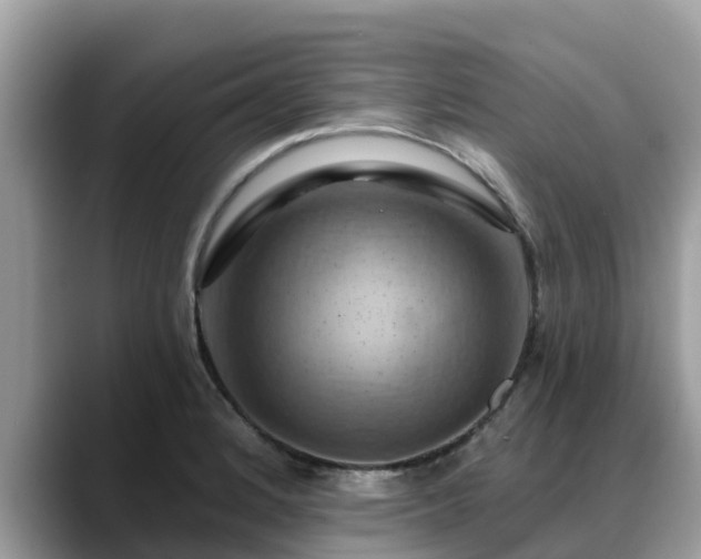 X0000088691184200706071513