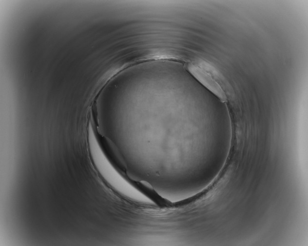 X0000088691185200706071513