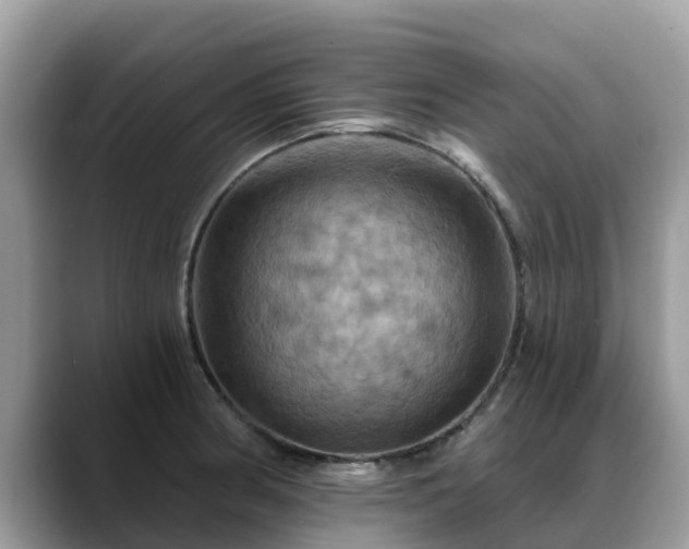 X0000088691186200706071513