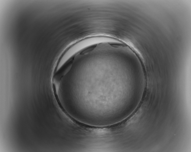 X0000088691189200706071513