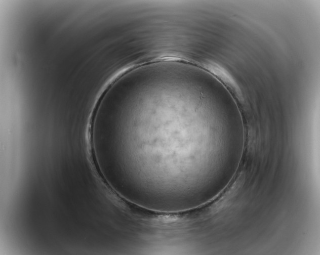 X0000088691190200706071513