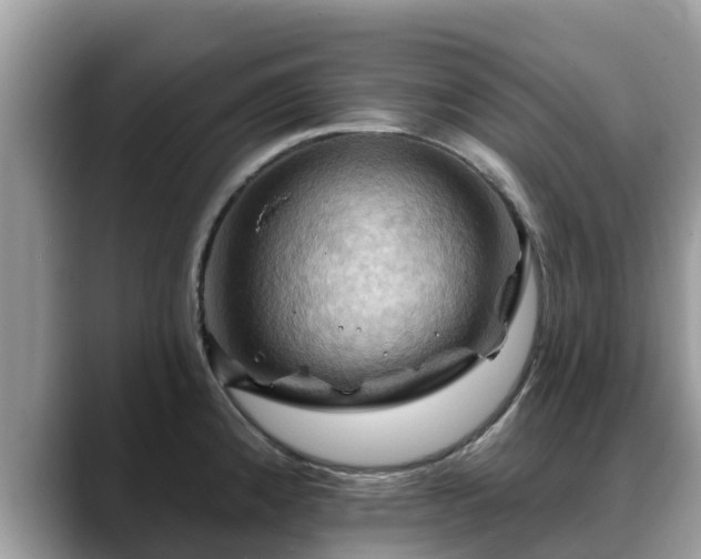 X0000088691192200706071513