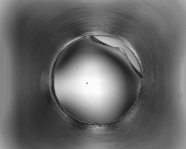 X0000088691195200706071513
