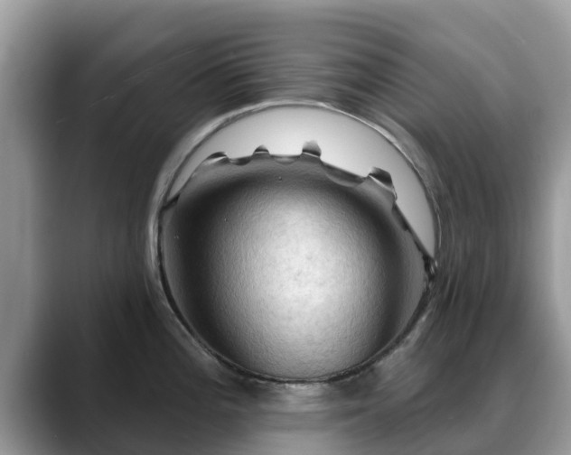 X0000088691196200706071513