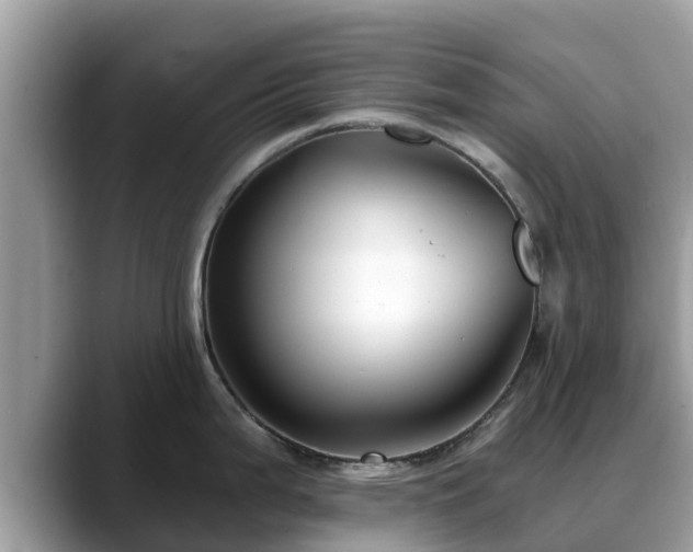 X0000088691199200706071513