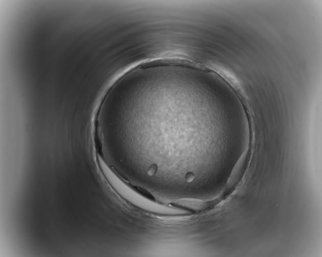 X0000088691200200706071513