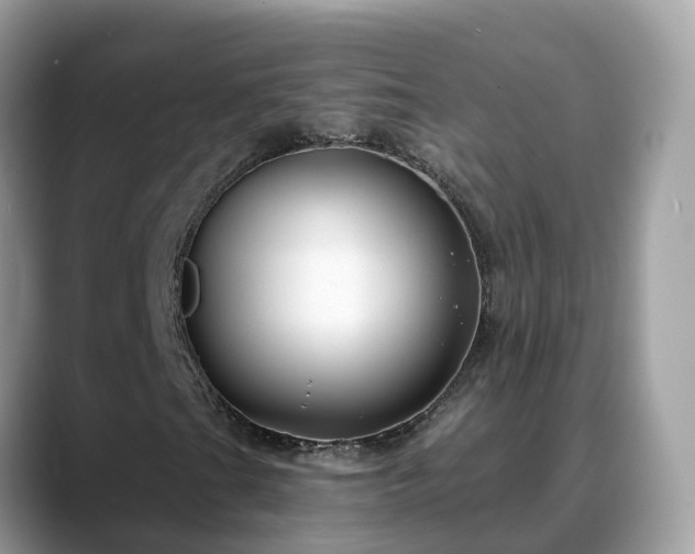 X0000088691201200706071513