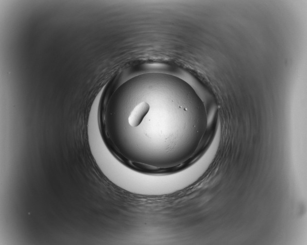 X0000088691202200706071513