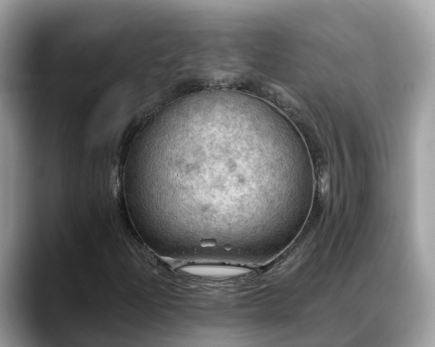 X0000088691204200706071513