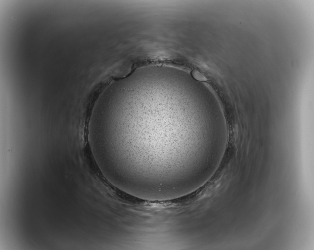 X0000088691205200706071513