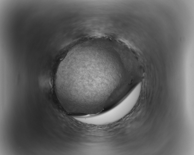 X0000088691206200706071513