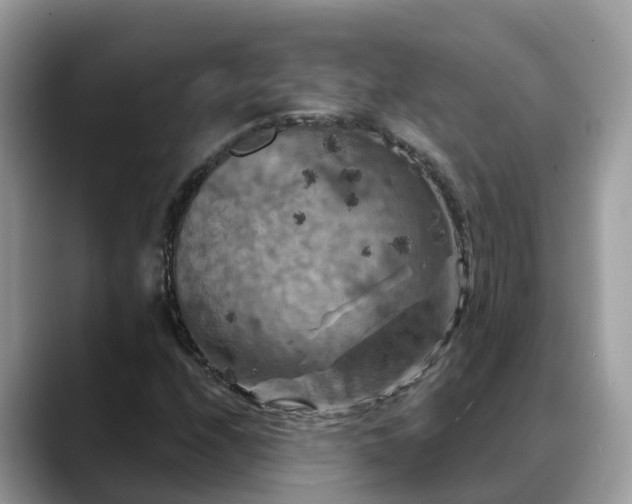X0000088691208200706071513