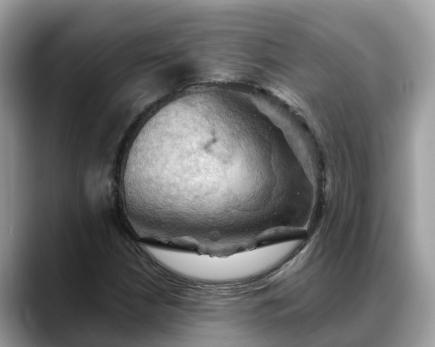 X0000088691210200706071513