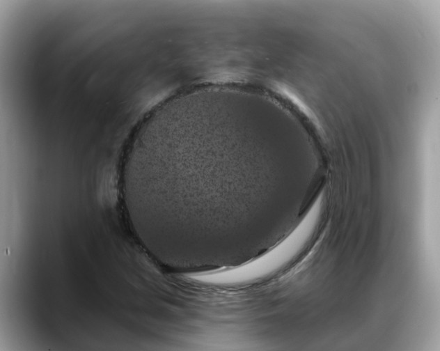 X0000088691213200706071513