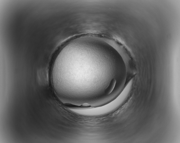 X0000088691214200706071513