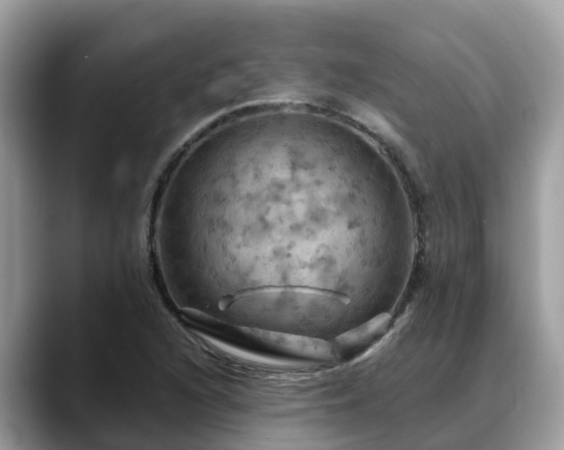 X0000088691216200706071513