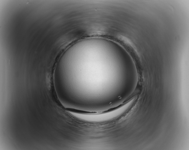 X0000088691217200706071513