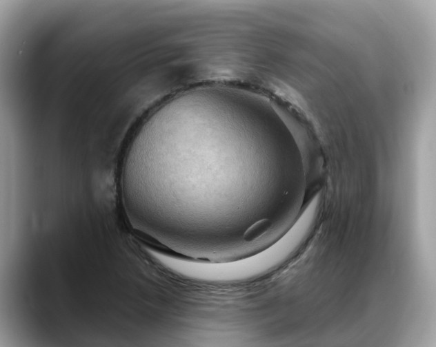 X0000088691218200706071513