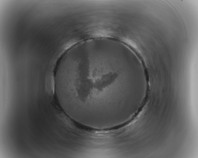X0000088691219200706071513