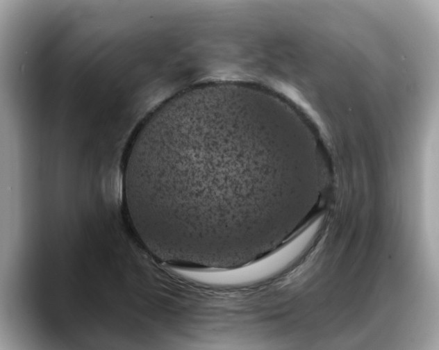 X0000088691221200706071513