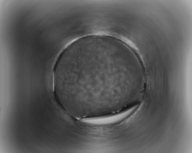 X0000088691223200706071513